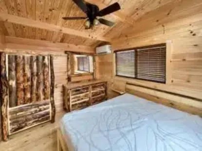 Picture of Skyview Log Cabin