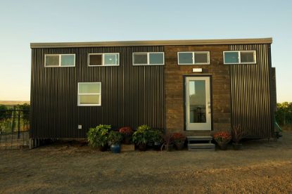 Picture of  Big Dogs, Tiny House