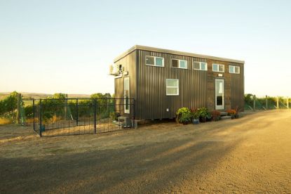 Picture of  Big Dogs, Tiny House