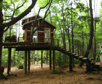 Picture of Treehouse Cabin