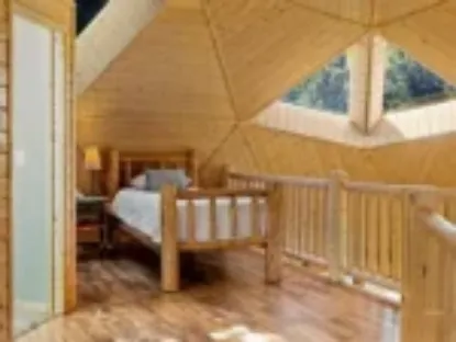 Picture of Geodesic Dome home