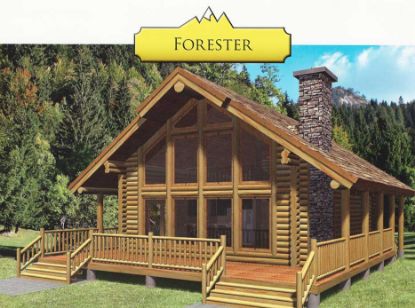 Picture of Forester